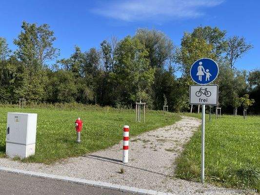 B4 TH.FLACHSRING.G.P4.1