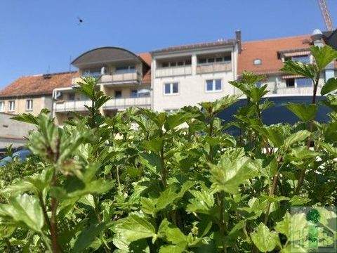 Bautzen Wohnungen, Bautzen Wohnung mieten