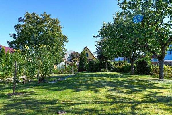 Blick vom Garten zum Haus