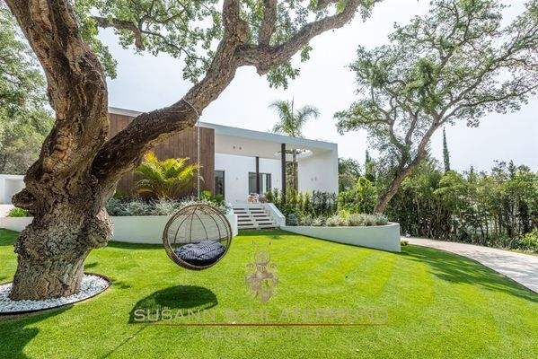 Moderne Architektenvilla  mit alten Olivenbäumen