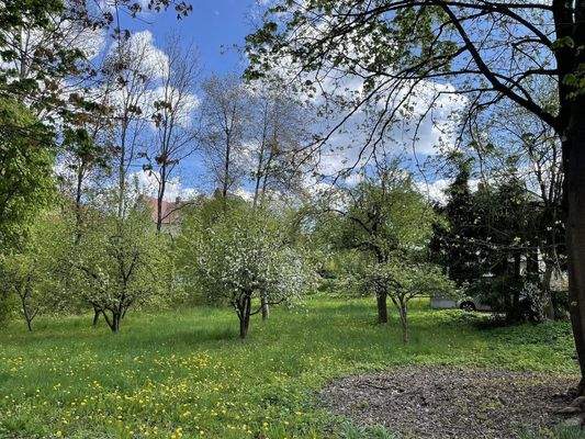 Obstgarten hinter Villa