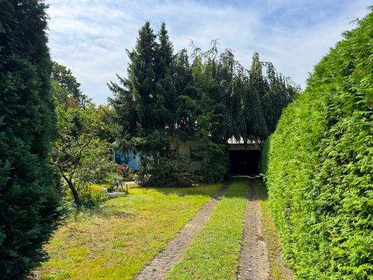 Zufahrt auf dem Grundstück.JPG