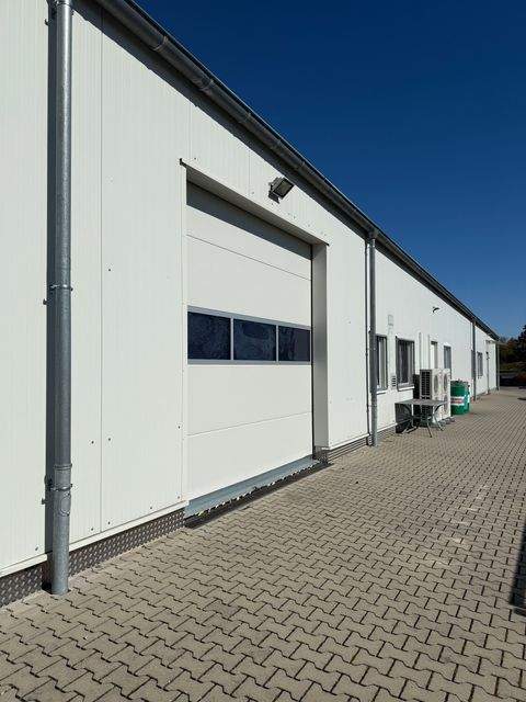 Gelnhausen Halle, Gelnhausen Hallenfläche