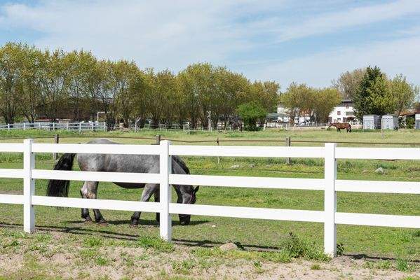 Landschaft_Dallgow_tgd1496