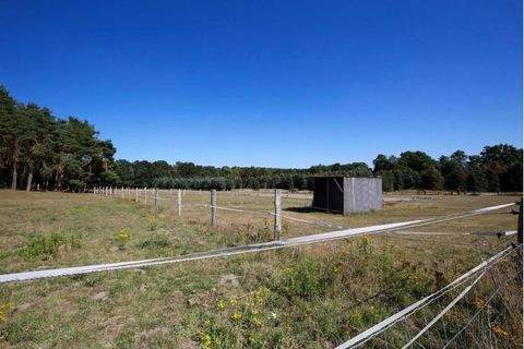 Brackel Bauernhöfe, Landwirtschaft, Brackel Forstwirtschaft