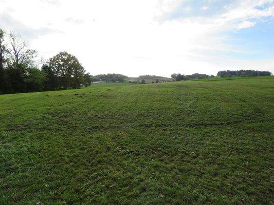 Wiese oberhalb dem Haus