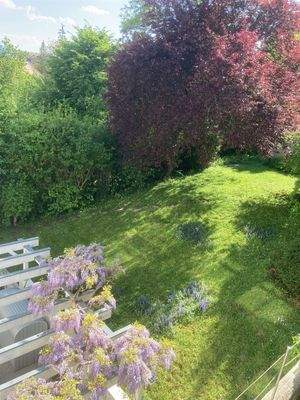 Aussicht auf das Grundstück 2
