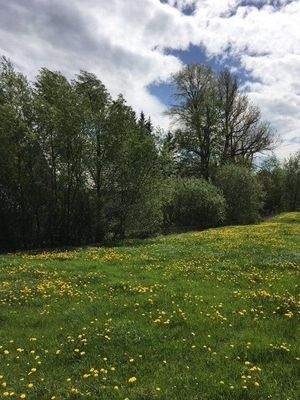 kostenfreier Grundstücksfinde-Service für Baufamilien