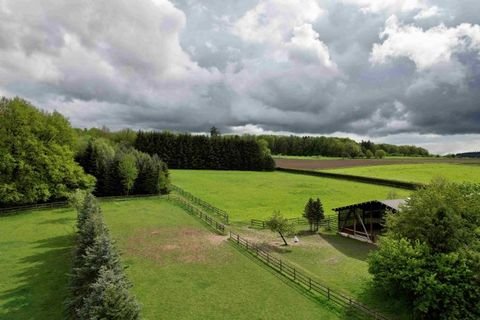 Braunfels Bauernhöfe, Landwirtschaft, Braunfels Forstwirtschaft