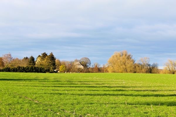 Weitblick zum Gutshaus