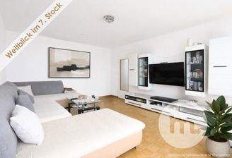 monetaria - Titelbild