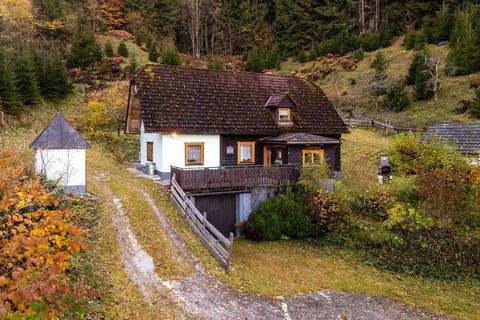 Admont / Aigen Häuser, Admont / Aigen Haus kaufen