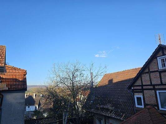 ame17-575-Aussicht Balkon.jpg