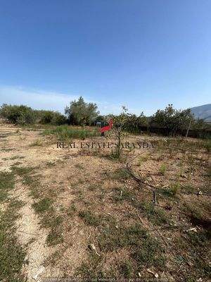 WhatsApp Image 2024-09-06 at 10.30.37.jpeg