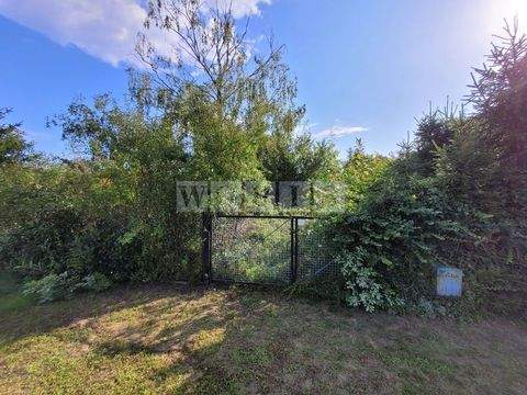 Bestensee Grundstücke, Bestensee Grundstück kaufen