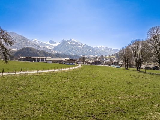 DJI_20250318110538_0658_D