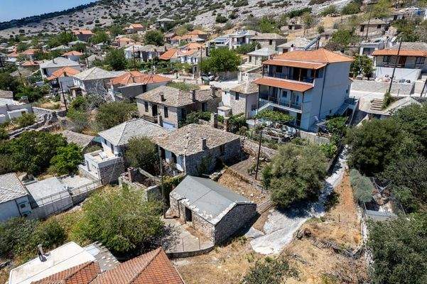 Papatsiaras-Theologos-Kekes 24-07-2024-19.jpg