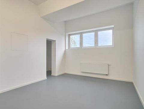 Teningen Halle, Teningen Hallenfläche