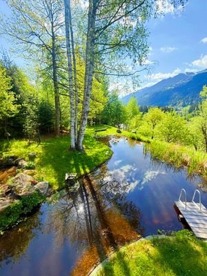 Natur-Schwimmteich.jpeg