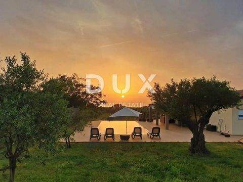 Novigrad Häuser, Novigrad Haus kaufen