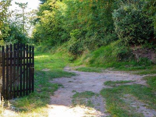 Waldweg mit Pkw Stellplatz