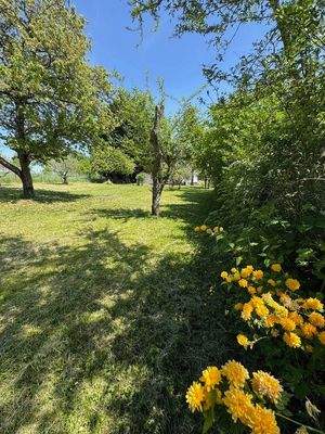 träumen und verwirklichen