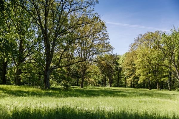 Entspannen in der Natur