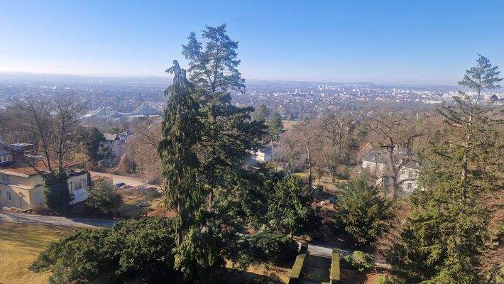 WhatsApp Image 2026-03-05 at 15.38.37 (1).jpeg