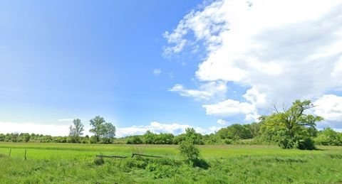 Hudi Bitek Bauernhöfe, Landwirtschaft, Hudi Bitek Forstwirtschaft