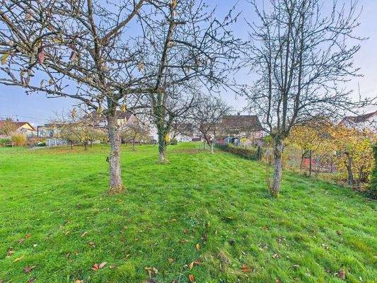 CAM01856G0-PR0319-STILL006