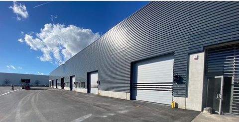 Niederaichbach Halle, Niederaichbach Hallenfläche