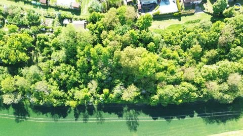 Widdern Bauernhöfe, Landwirtschaft, Widdern Forstwirtschaft