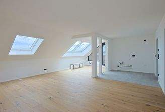 Großzügiger Wohn-/Essbereich mit offener Küche