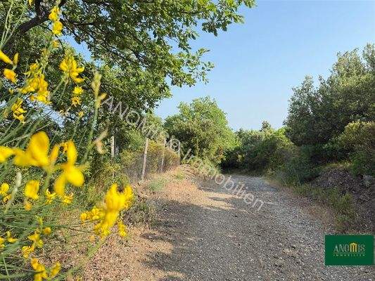 Strasse Baugrund Tatti