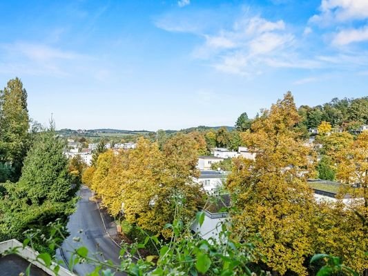 Blick ins Grüne vom Balkon