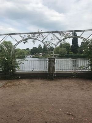 Rosarium 50 Meter Entfernung