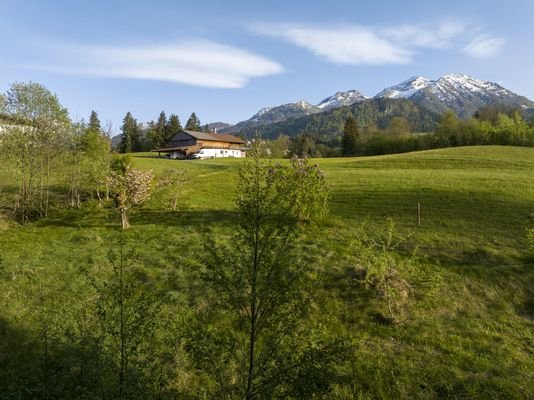 DJI_20240429184620_0421_D