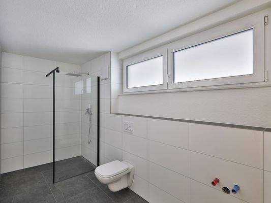 EG - Modernes Tageslichtbad