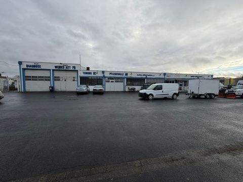 Nürnberg Halle, Nürnberg Hallenfläche