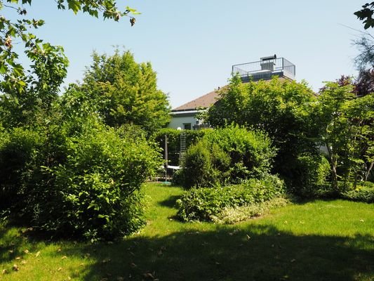 Gartenbereich