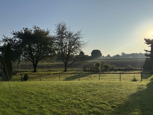 Blick auf das Feld