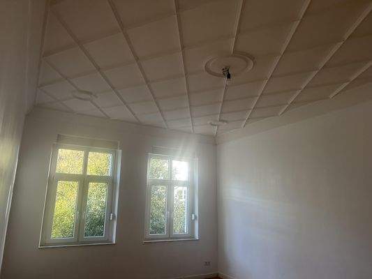 Original Stuckdecken