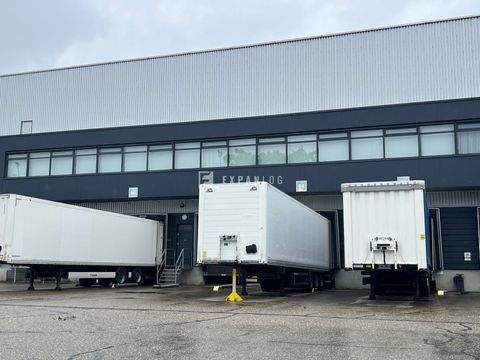 Köln Halle, Köln Hallenfläche