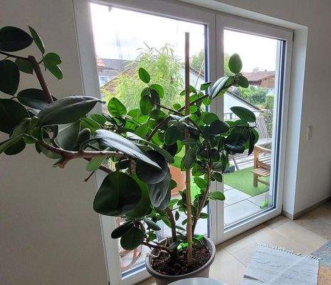 Blick auf Südbalkon