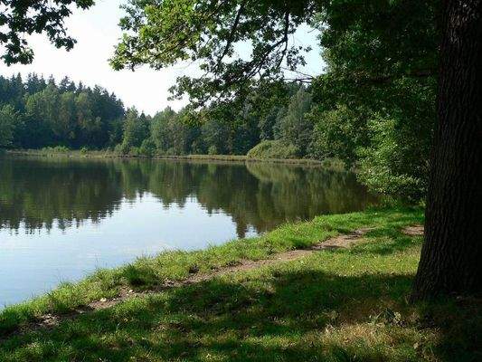 15min Fussweg zum Teich