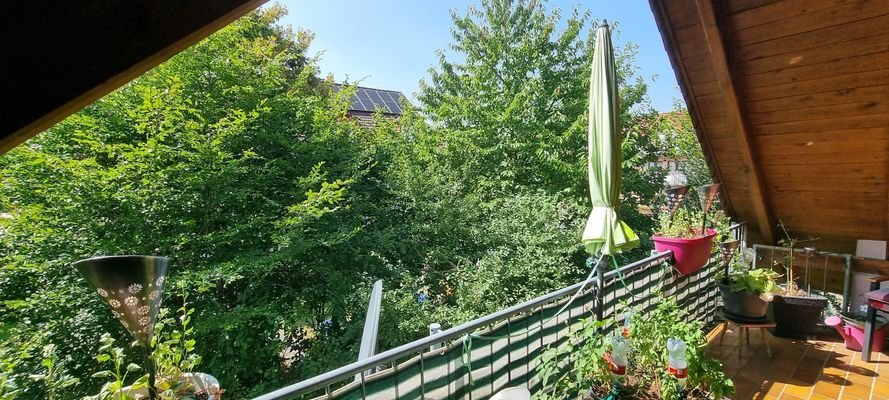 Relaxen - Blick ins Grüne