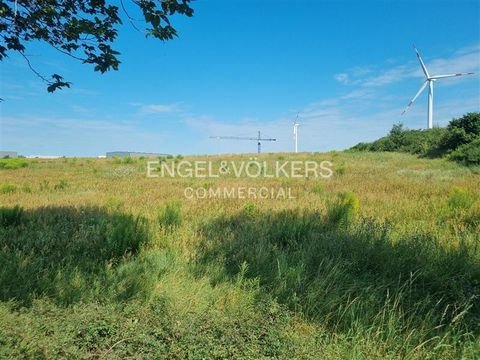 Herzfelde Grundstücke, Herzfelde Grundstück kaufen