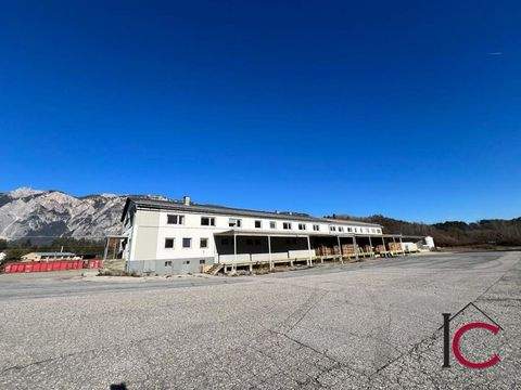 Arnoldstein Halle, Arnoldstein Hallenfläche