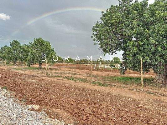 sa-comuna_00008_2f085cf