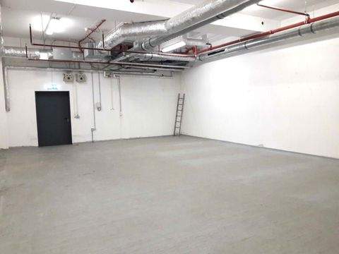 Cottbus Halle, Cottbus Hallenfläche